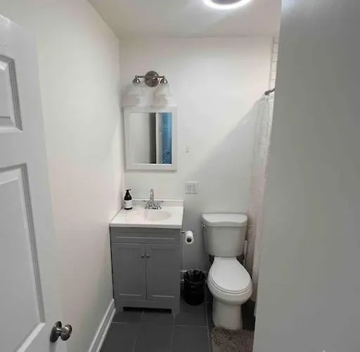 Apartment Lovely 3-bedroom In Bronzeville